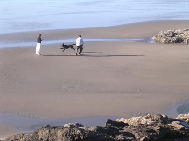 dscn0449.jpg