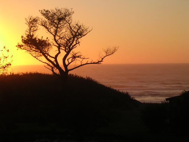 dscn0472.jpg