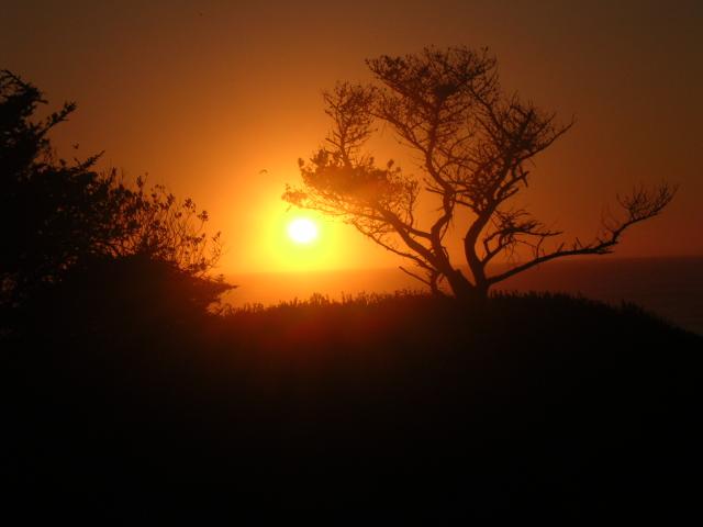 dscn0473.jpg