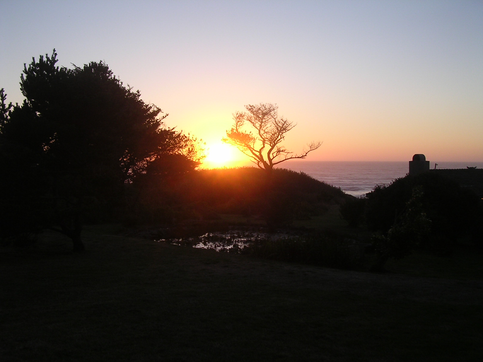 dscn0474.jpg
