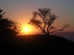 dscn0475.jpg