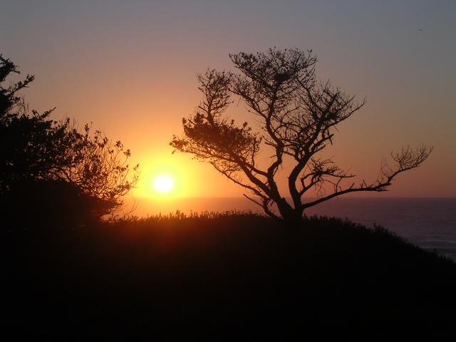 dscn0475.jpg