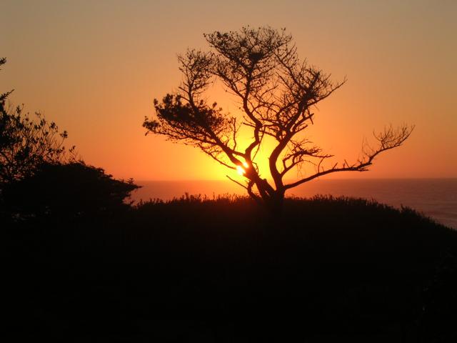 dscn0477.jpg