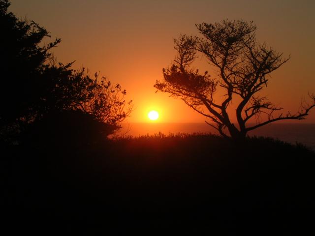 dscn0478.jpg