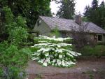 DSCN3204.jpg