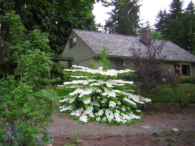 DSCN3204.jpg