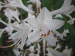 DSCN3209.jpg