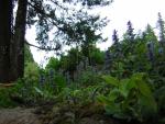 DSCN3217.jpg
