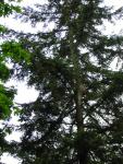 DSCN3219.jpg