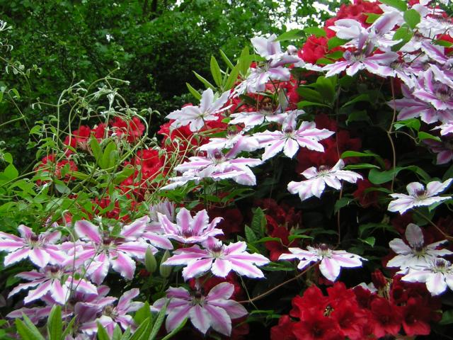 DSCN1786.jpg