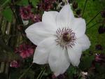 DSCN1787.jpg