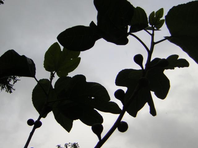 DSCN1789.jpg