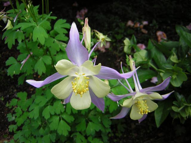 DSCN1790.jpg