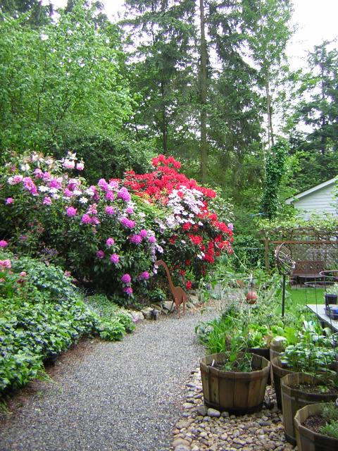 DSCN1791.jpg