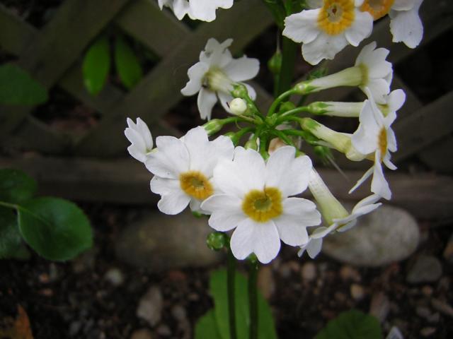 DSCN1801.jpg