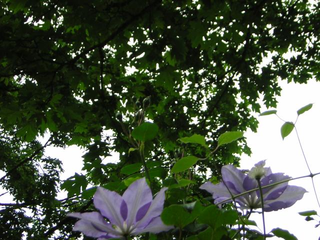 DSCN1802.jpg