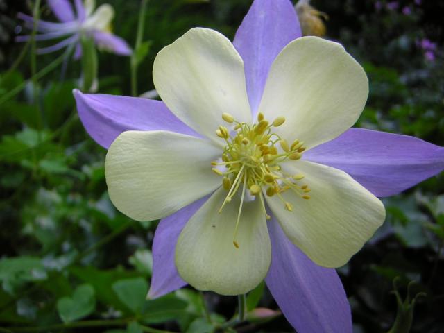 DSCN2003.jpg