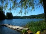 Party at Camp Campbell!