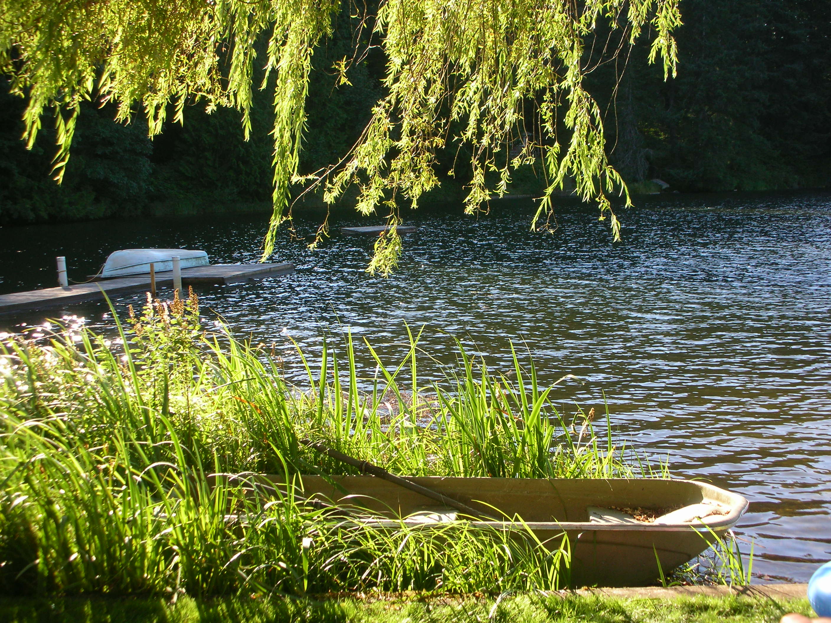 DSCN3641.jpg