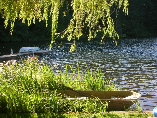 DSCN3641.jpg