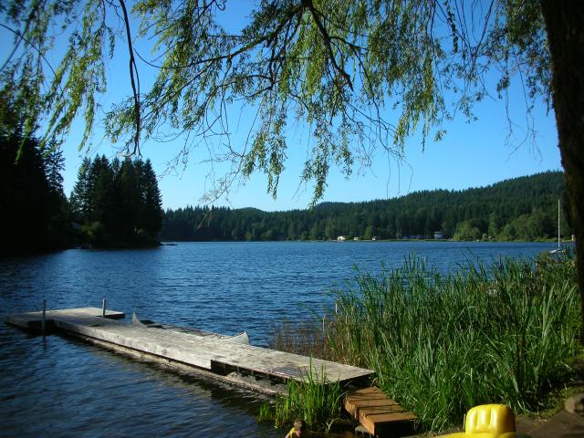DSCN3642.jpg