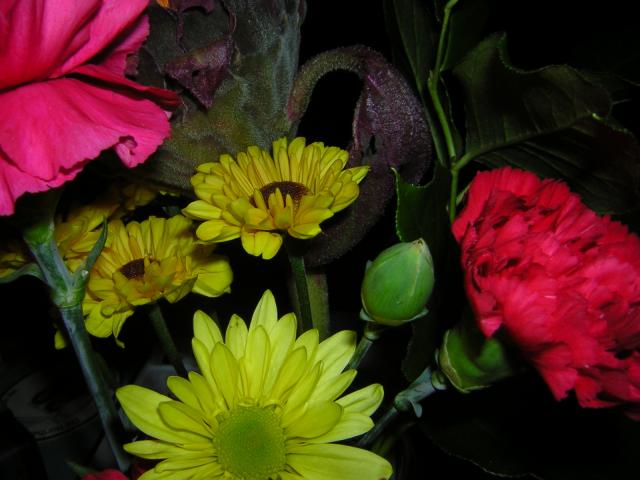 DSCN0614.jpg