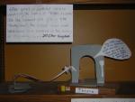 DSCN1217.jpg