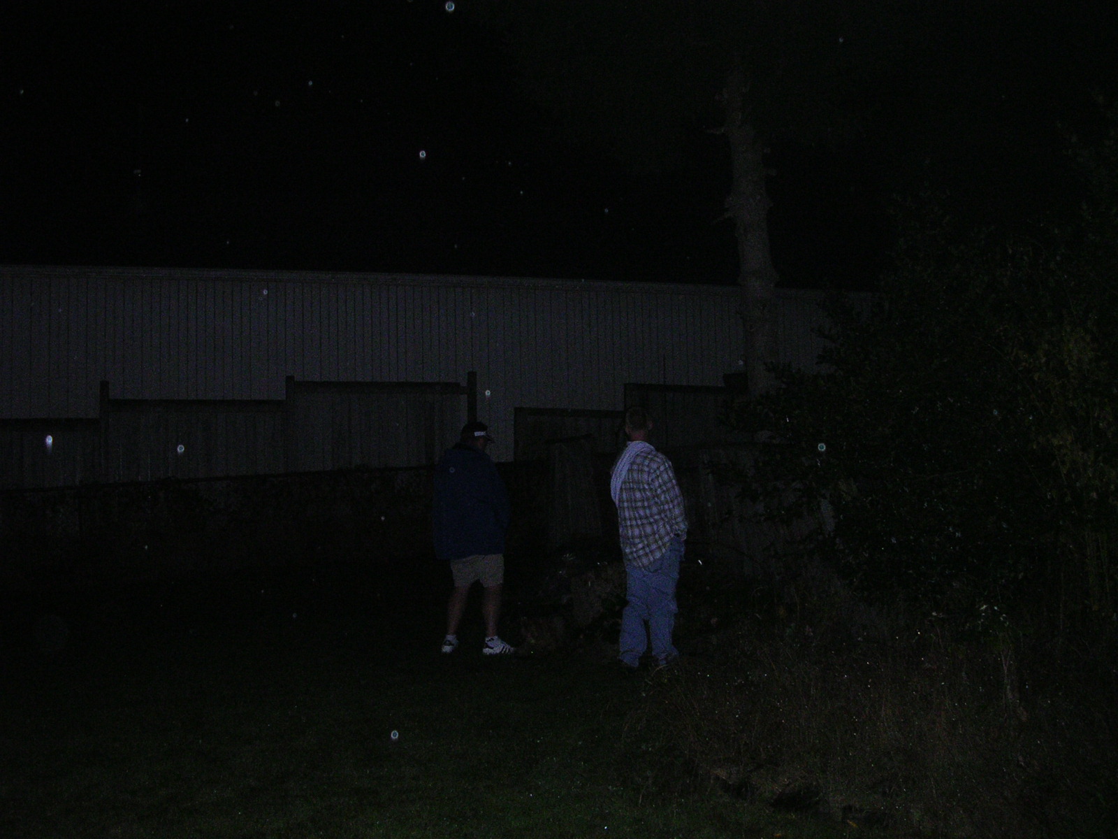 dscn0558.jpg