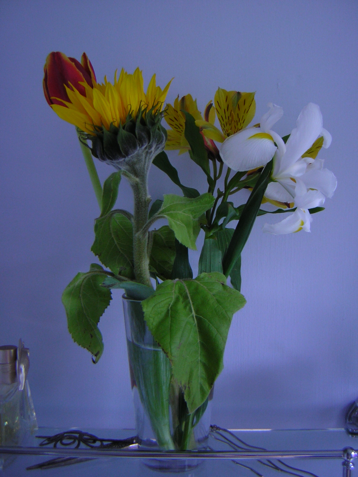 DSCN3089.jpg