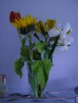 DSCN3089.jpg