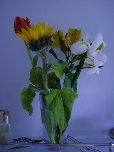 DSCN3089.jpg