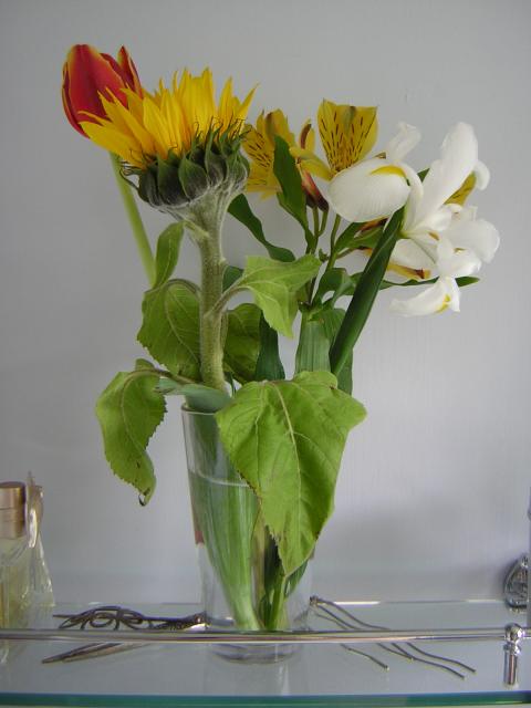 DSCN3090.jpg