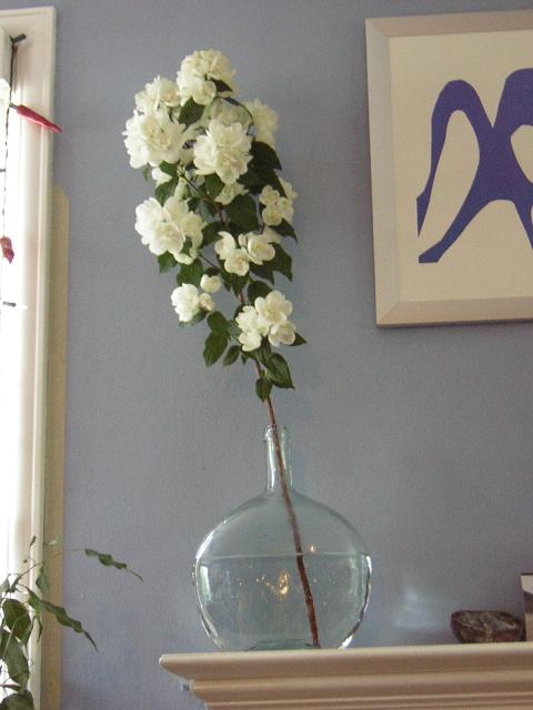 DSCN3339.jpg
