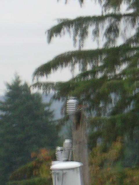 DSCN3827.jpg