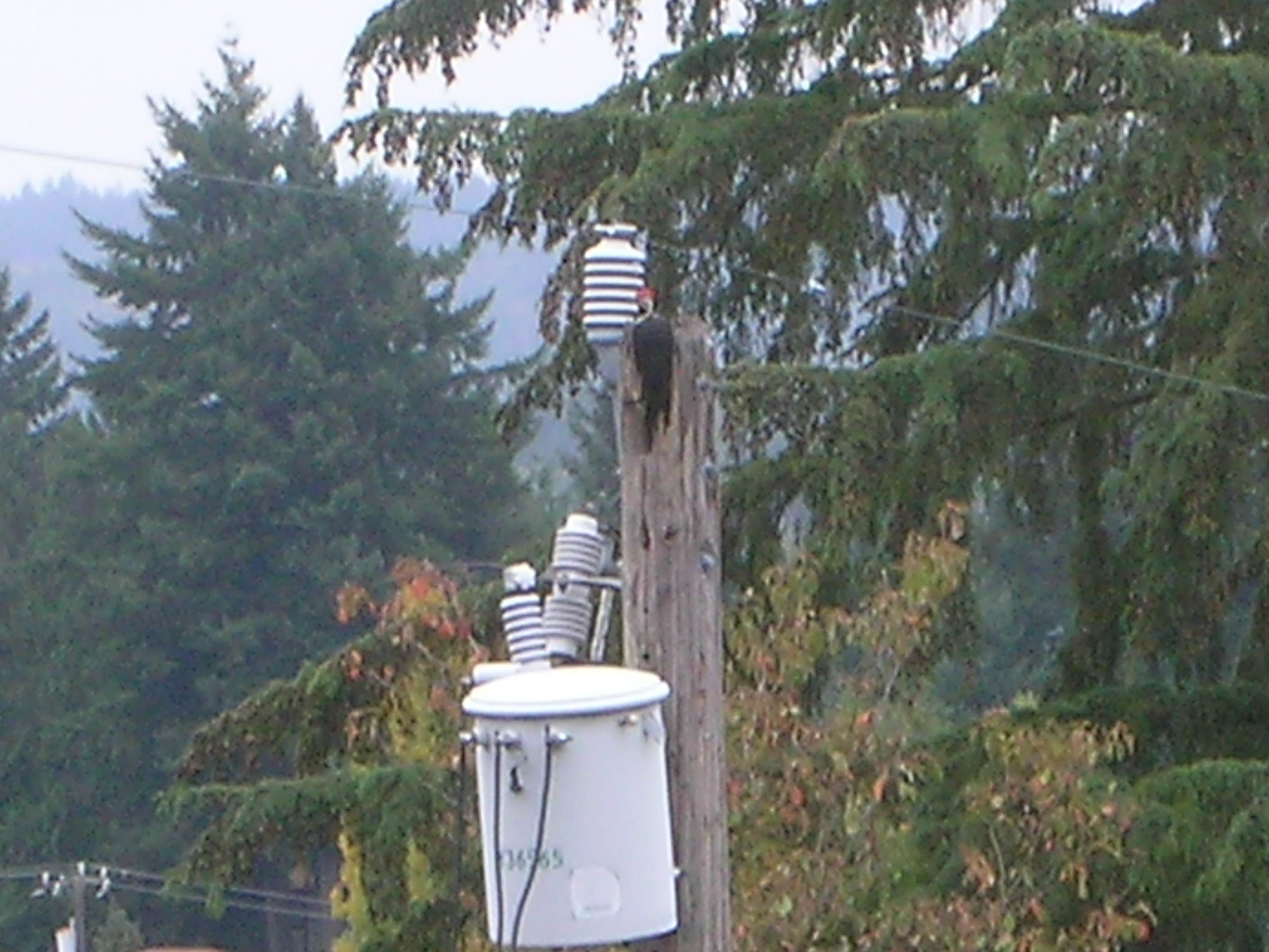 DSCN3828.jpg