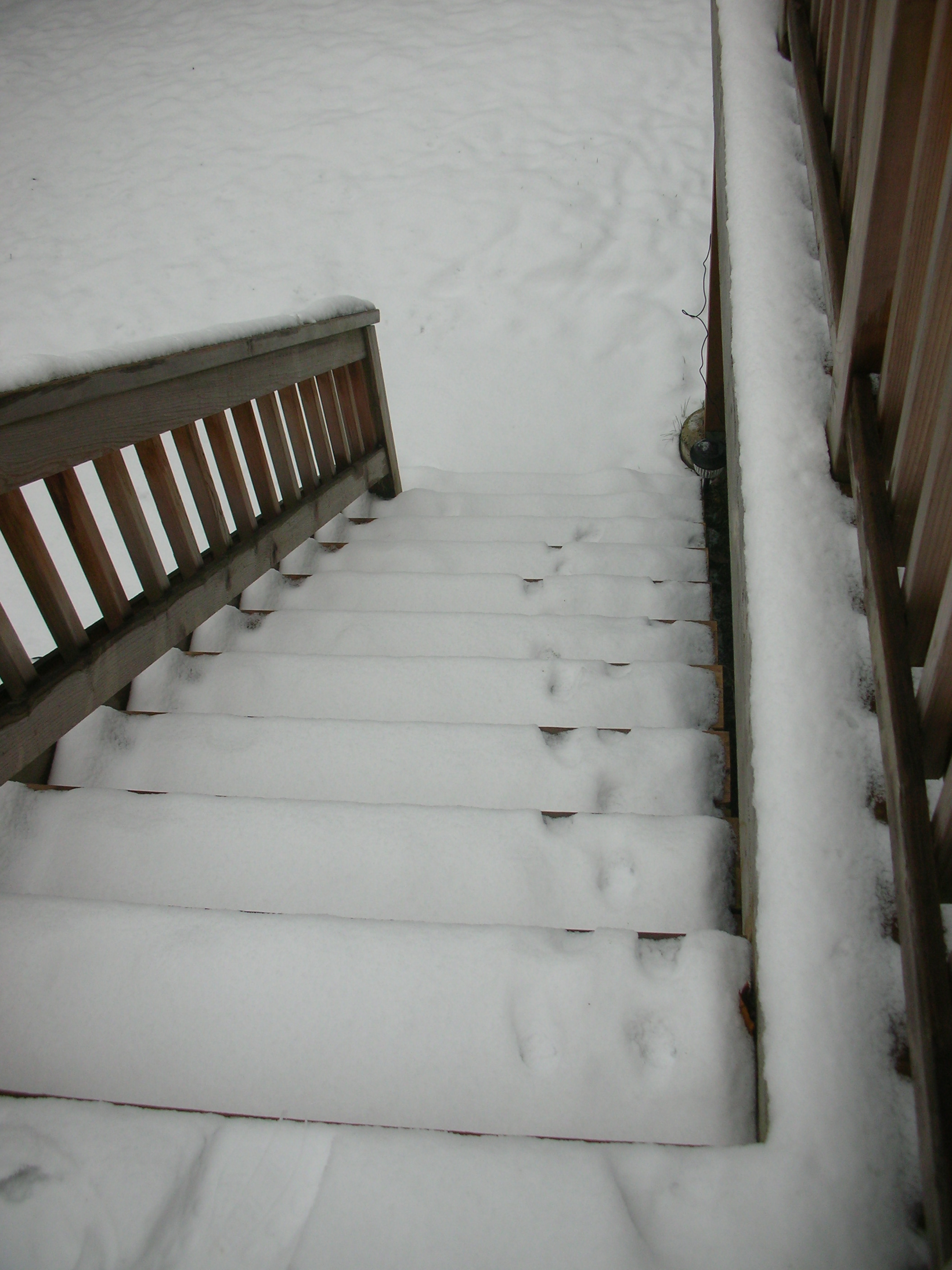 DSCN4281.jpg