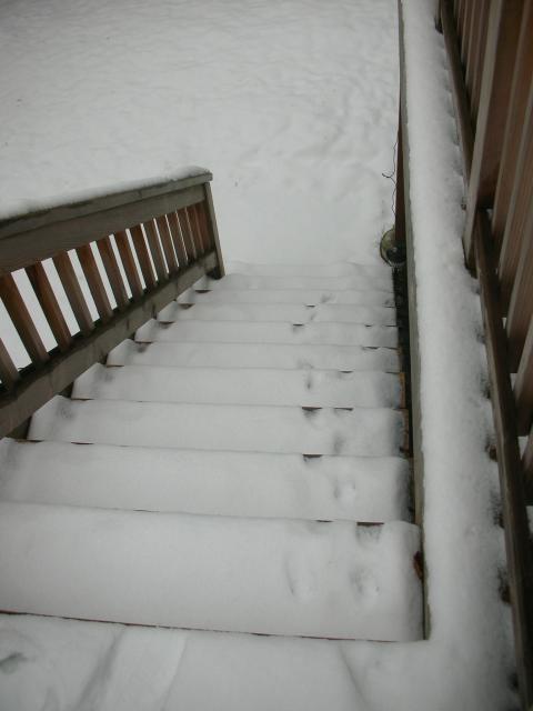 DSCN4281.jpg
