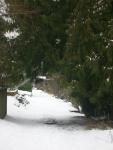 DSCN4282.jpg