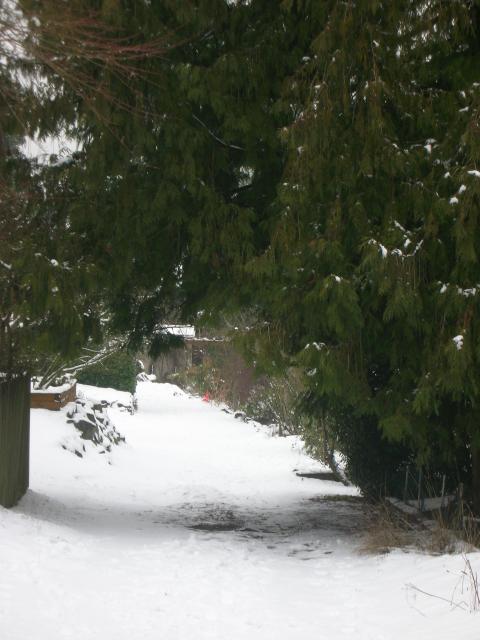 DSCN4282.jpg
