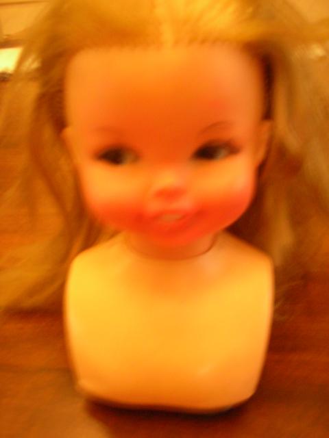 DSCN4636.jpg