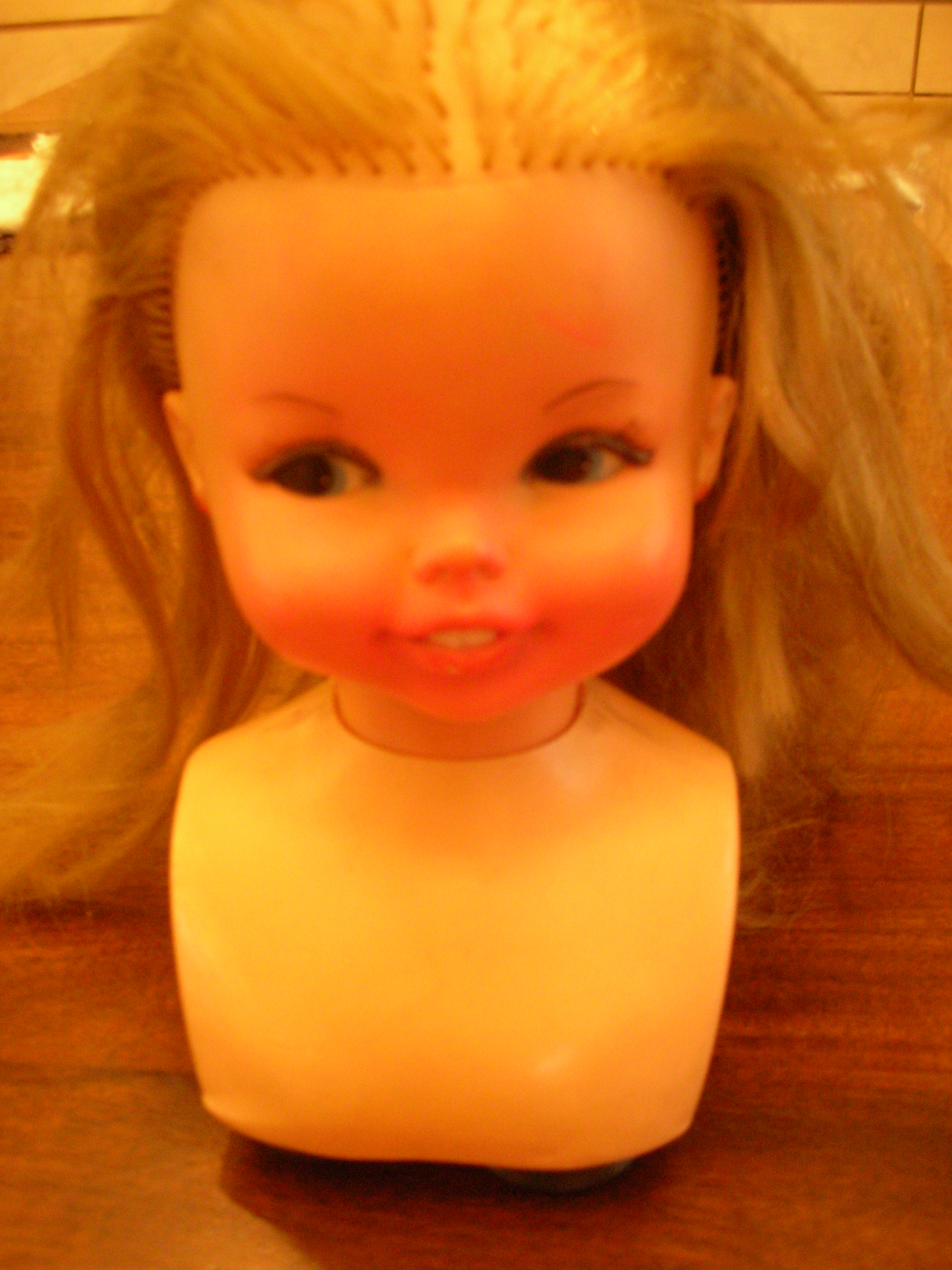 DSCN4637.jpg