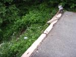 car_railing_2433.jpg