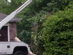 car_railing_2439.jpg