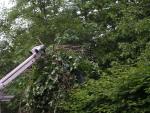 car_railing_2440.jpg
