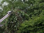 car_railing_2441.jpg