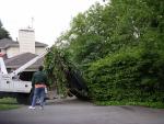 car_railing_2444.jpg