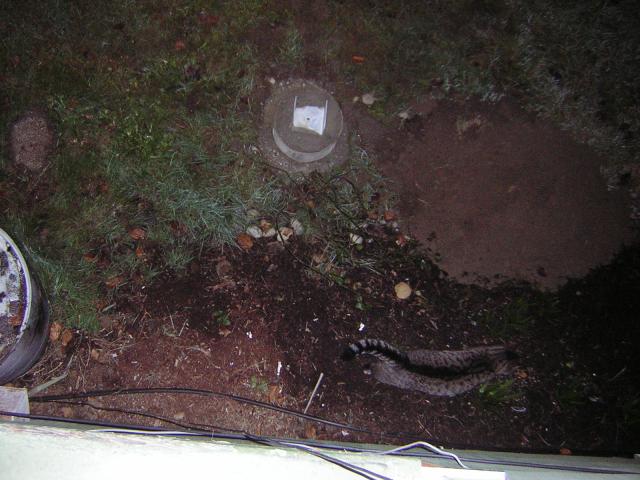 DSCN1121.jpg