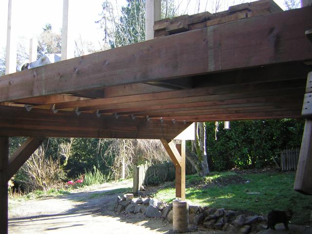 DSCN1146.jpg