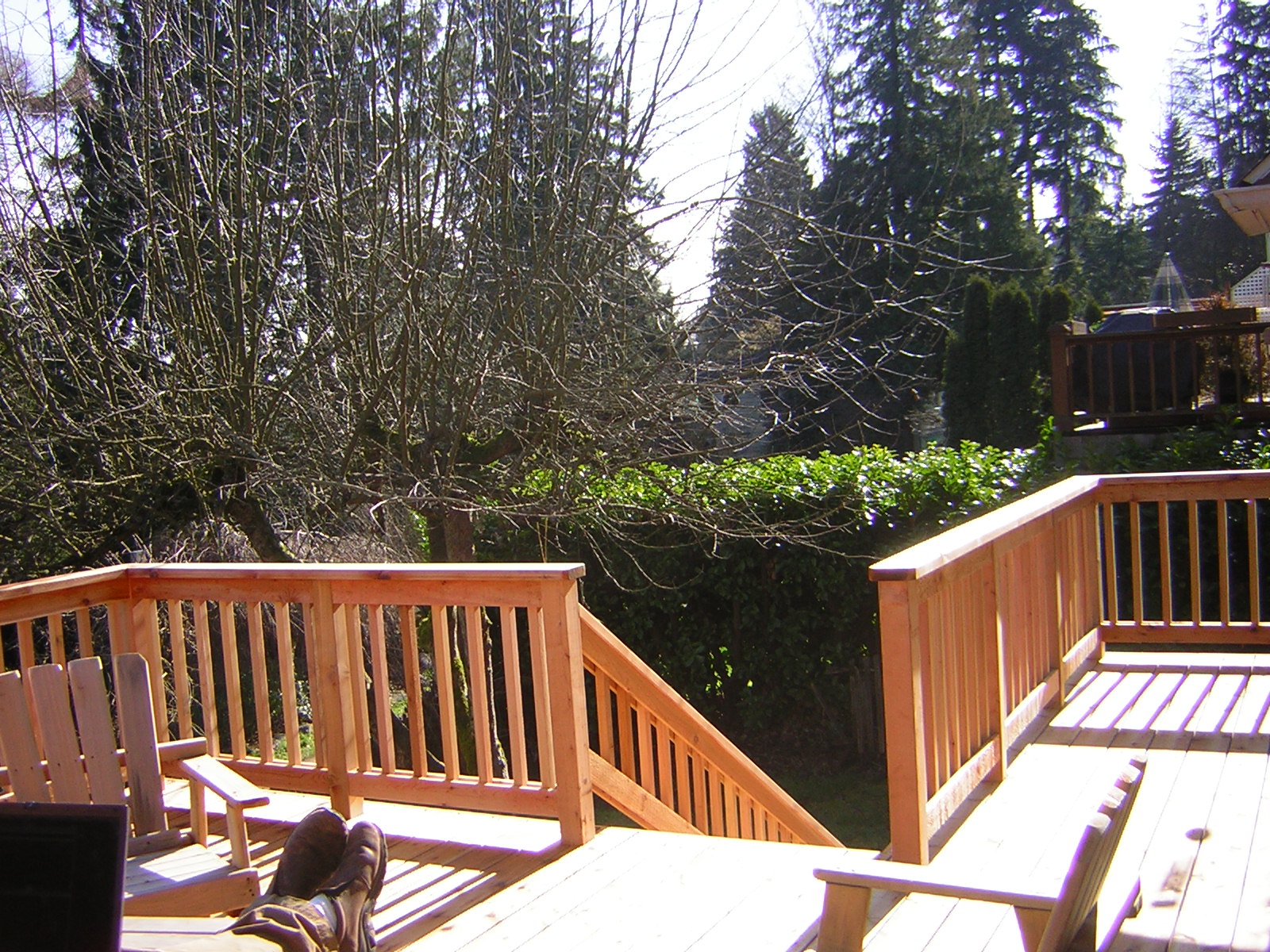 DSCN1173.jpg