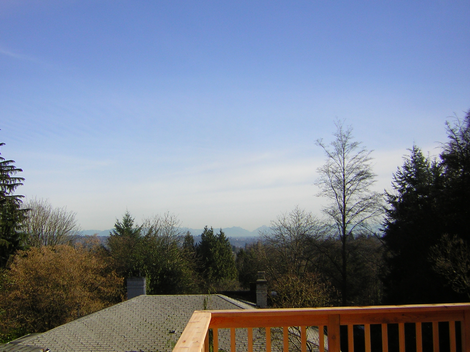 DSCN1174.jpg